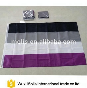 Cheap Stock 100%polyester 3*5ft LGBT Asexual Pride Flag with Grommets - Product Image 2