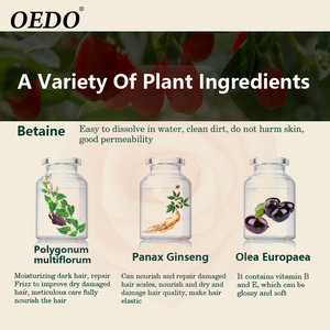 OEDO Chăm Sóc Chuyên Nghiệp Tự Nhiên Morocco Argan Herb Dẻo Dai Chống Gàu Điều Trị Chống Ngứa Dầu Gội - Product Image 4