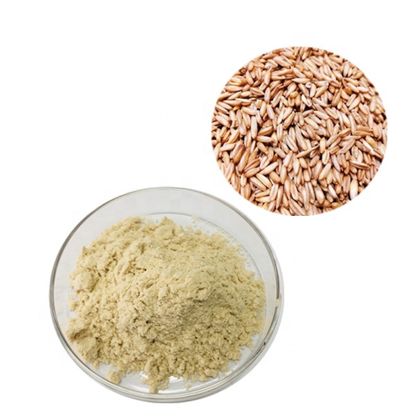 Oat extract. Порошок цельного овса. Овес на белом фоне. Экстракт овса. Овес зерно.