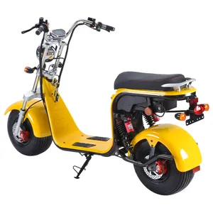 Gratis Verzending Snelle Levering naar Bulgarije Volwassen Scooter Elektrische Motor Bromfiets Winkel EEG Grote Wiel Verwijderbare Batterij 1500 W 20Ah