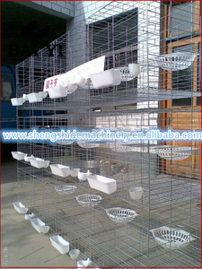 Gabbia per Allevamento Piccioni Zincata a Caldo, Miglior Vendita - Product Image 4