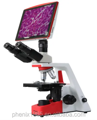 Microscopio trinocular con cámara, proveedor Phenix, buena claridad, 40X-1600X