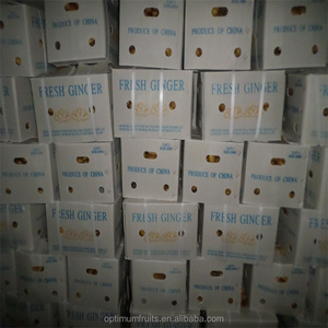 Hot Bán Trung Quốc Trưởng Thành Gừng/Hạt Gừng - Product Image 6