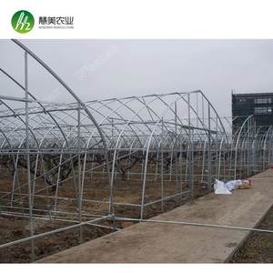 15 años de garantía de plástico barato agricultura único de túnel invernadero - Product Image 2
