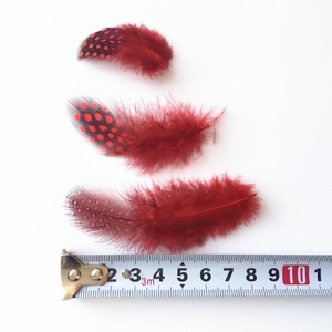 Plumas de Ganso de Alta Calidad al por Mayor, de 5-10 cm, con Puntos de Perla, para Joyería, Manualidades, Ropa y Accesorios - Product Image 6