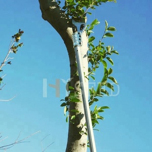 Forbici Elettriche a Palo Lungo per <span class=keywords><strong>Potatura</strong></span> di Alberi di Mele, Ulivi e Vigneti - Product Image 4