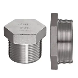 Stainless Steel Pipa Pipe Fitting Hex Head Plug