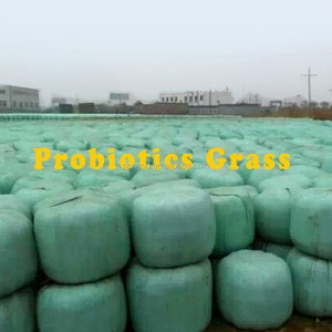 Probiotici microbica, Pollame/pollo/ovini/bovini/mucca additivo per mangimi/mangimi probiotici agente - Product Image 2