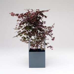 2019 moderno pianta decorativa del basamento del metallo mini faux succulente fiore pianta supporto per esterno giardino soggiorno - Product Image 3