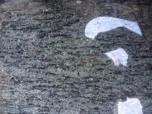 Verde oliva granie, importación de granito - Product Image 4