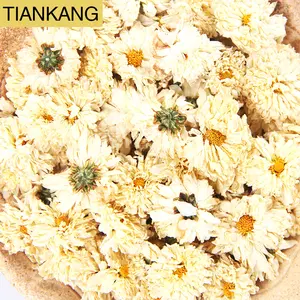 2022 Wholesale Factory Supply White Dried Detox Slimming Tea Chrysanthemum Tea Good Tasty Chinese Herbal Tea