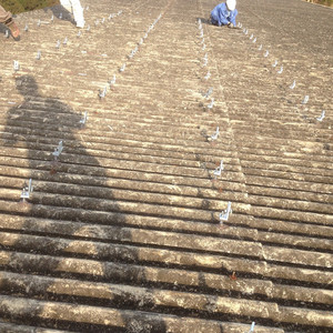 Năng Lượng Mặt Trời Hệ Thống Bảng Điều Khiển Nhà 5kw Roof Mount Năng Lượng Mặt Trời Hệ Thống Điện - Product Image 2