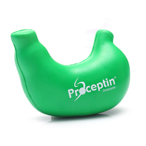OEM Grosir Grosir Organ Badan Perut Medis Busa <span class=keywords><strong>Pu</strong></span> Bola Stres Paru-paru untuk Pendidikan Dini Anak-anak - Product Image 4