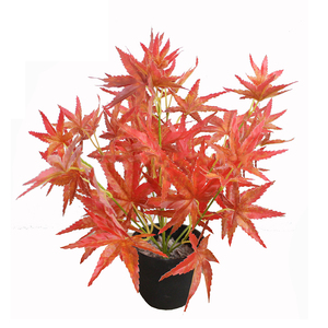 Cây Phong Nhân Tạo Cây Nhựa, Cây Bảng Phong Đỏ Nhật Bản - Product Image 2