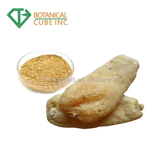 Natural Rhizoma Gastrodia elata Extrato 98% Gastrodin