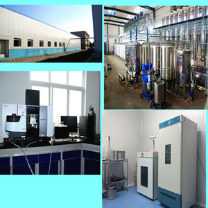 Ngay lập tức bột trà xanh với Polyphenol trong trà - Product Image 4