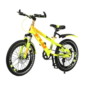new style MTB made in China /pushbike kids bicycle/children bike for 10 years old