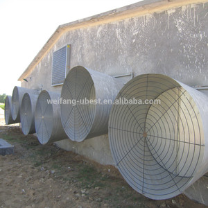 Hete Verkoop Lage Prijs Staalconstructie Gebouw Prefab Kippenhok Pluimveebedrijf - Product Image 3