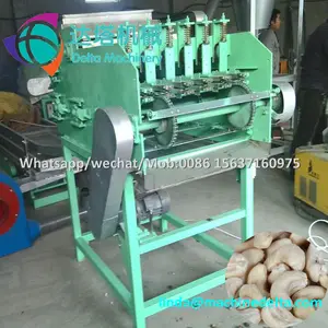 Raw cashew nut cutting machine/Cashew shell breaking machine