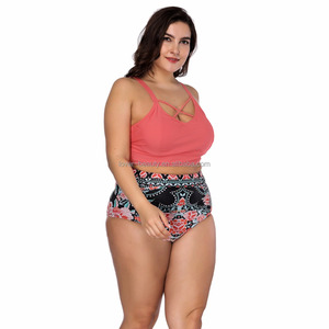 Americano más tamaño dropshipping dos piezas OEM <span class=keywords><strong>sexy</strong></span> traje de baño mujeres <span class=keywords><strong>bikini</strong></span> 2018 con almohadilla extraíble - Product Image 6