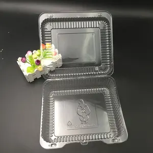 Wegwerp Clamshell Clear Transparante Rechthoek Plastic Doos Voor Fruit En Vegetablesp Lade Pakket Box