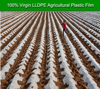 films de paillage agricoles bon marché pour les cultures à usage agricole