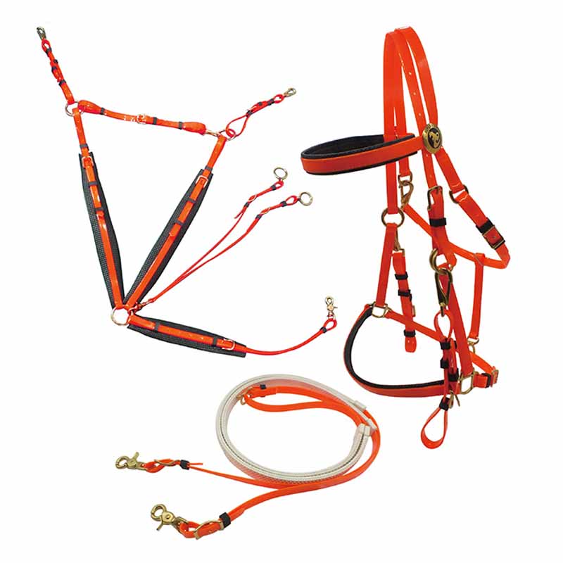 Arancione