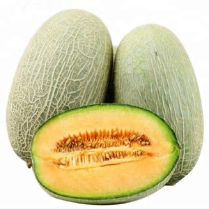 GMP Natural Cantaloupe Fruit polvo/melón sabor en polvo - Product Image 4