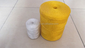 Nhà Máy Trực Tiếp Bán <span class=keywords><strong>PP</strong></span> Chuối <span class=keywords><strong>Twine</strong></span> Cà Chua <span class=keywords><strong>Twine</strong></span> - Product Image 4