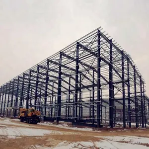 Conception professionnelle hangar d'avion en acier structure aéroport