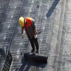 Membrane d'étanchéité en bitume modifié SBS pour toiture à la chaleur - Product Image 3