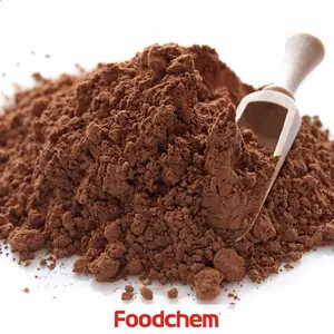 Polvo de cacao natural, alta calidad