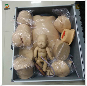 <span class=keywords><strong>Recursos</strong></span> Didácticos BIX-F50 simulador de nacimiento del parto con todas las funciones - Product Image 4