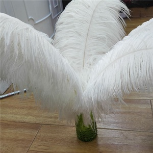 Pluma <span class=keywords><strong>de</strong></span> avestruz teñida a granel Natural para decoración <span class=keywords><strong>de</strong></span> eventos, alta calidad, 60-65cm, 30-80cm, grande, multicolor, blanco, rosa, rojo - Product Image 5