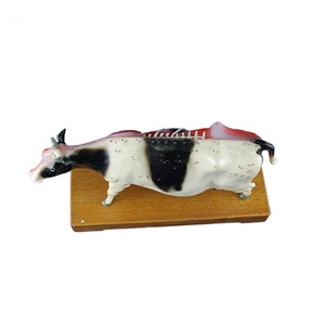 Modèle d'anatomie animale avancé en plastique pour l'acupuncture, modèle de corps animal pour l'acupuncture, modèle de vache pour l'acupuncture - Product Image 6