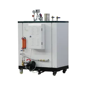 Gas Power 50Kg/H Steam Boiler For Fertilizer Plant