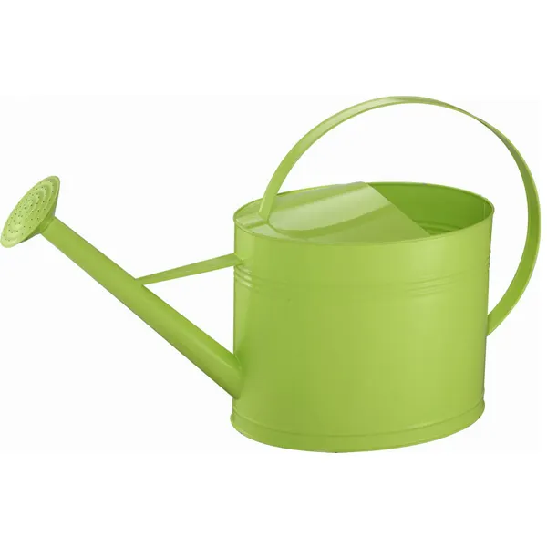 Wholesale Flower Metal Garden Watering Can