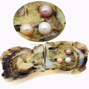 natural pearl from clam shell 3 births 4A round 7-8 mm natural freshwater pearls in oysters with vacuum packaging party mysterio