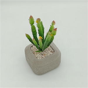 <span class=keywords><strong>Cactus</strong></span> Artificiale <span class=keywords><strong>in</strong></span> Cemento Fatto a Mano, Mini <span class=keywords><strong>Cactus</strong></span> Realistico <span class=keywords><strong>in</strong></span> Vaso, Vendita all'Ingrosso - Product Image 2