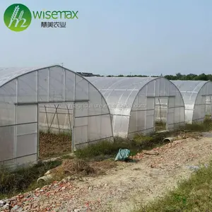 Hot sale tomato galvanized steel structure plastic tunnel prefab greenhouses