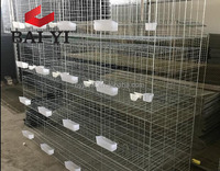 Blanc et Gris Colombe Cage Bon Marché Cage À Vendre (Fabriqué En Chine, Bonne Qualité)
