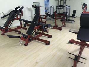 Huiti Commercial Gym Equipment Plate Loaded Shoulder Press <span class=keywords><strong>Gym80</strong></span> Series Máquina de fuerza - Product Image 6