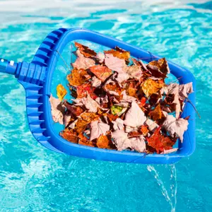 <span class=keywords><strong>Piscina</strong></span> foglia Skimmer colore blu foglia Skimmer netto con facile da installare rete per capelli per <span class=keywords><strong>piscina</strong></span> Skimmer Net - Product Image 3