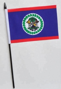 Promoción Mini <span class=keywords><strong>Bandera</strong></span> de país de <span class=keywords><strong>Belice</strong></span> personalizada al aire libre ondeando a mano <span class=keywords><strong>Bandera</strong></span> de palo de plástico - Product Image 5