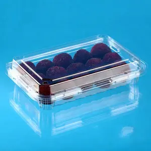 果物野菜食品用使い捨てクラムシェルプラスチック容器クリアブリスターPET包装ボックス
