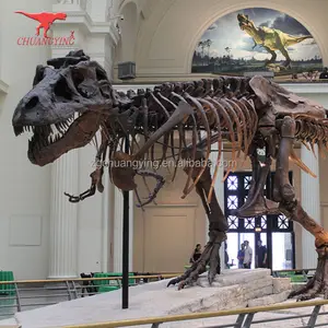 Esqueleto de dinossauro personalizado, artificial de simulação alta modelo fossil t-rex