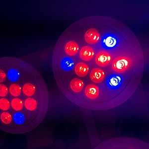 Vente chaude Produits E27 Led Lumière PAR12 Élèvent La Lumière <span class=keywords><strong>pour</strong></span> <span class=keywords><strong>Mini</strong></span>-<span class=keywords><strong>Serre</strong></span> - Product Image 1