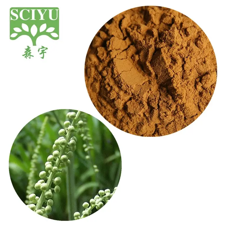 High Quality Black Cohosh Root Extract Cimicifuga Racemosa Extract