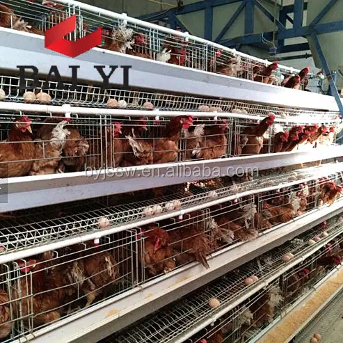 Battery cages laying hens,battery chicken cage