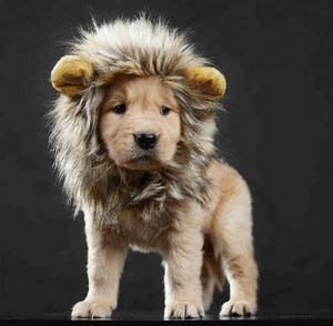 Disfraz de León para Mascotas, <span class=keywords><strong>Peluca</strong></span> <span class=keywords><strong>con</strong></span> Orejas para <span class=keywords><strong>Perros</strong></span> y Gatos, Disfraz de Halloween, Accesorios para Mascotas, Ropa para <span class=keywords><strong>Perros</strong></span> - Product Image 4